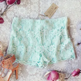 Sky Lace Shorts